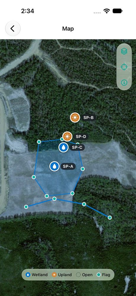 Project map on USGS imagery with sampling points SP-A to SP-D and a flagged wetland polygon.